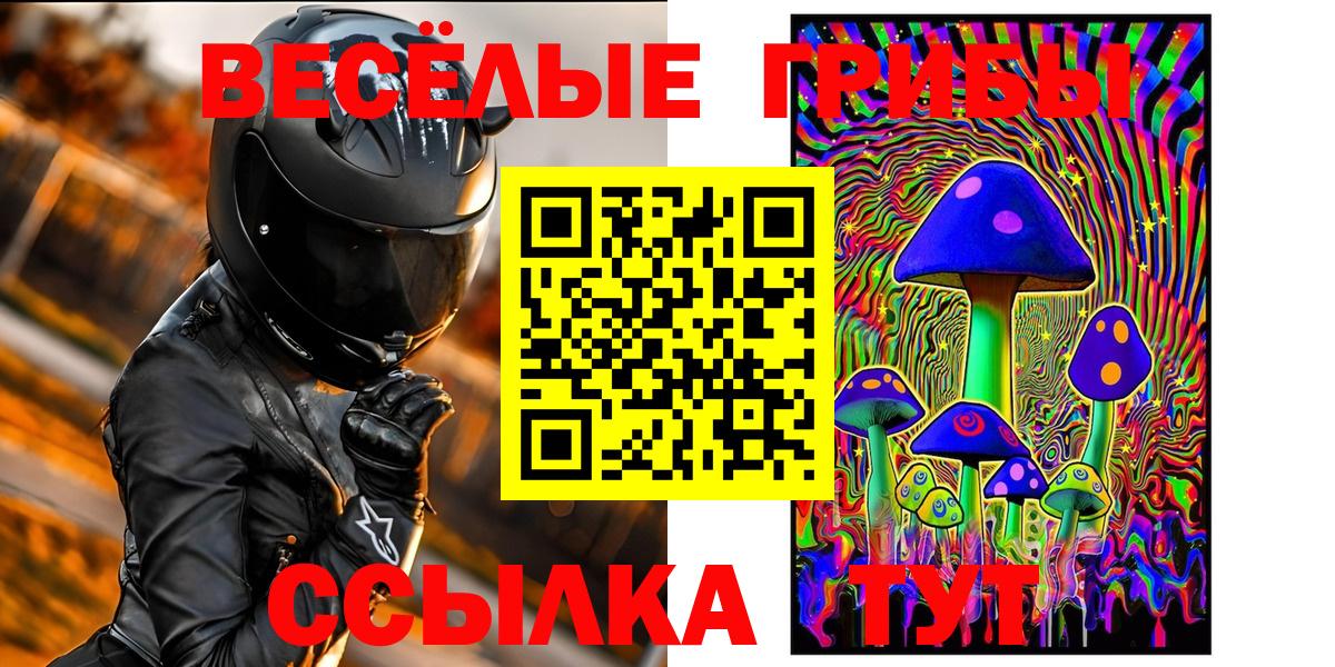 Кириши  Галлюциногенные грибы GOLDEN TEACHER  Вход с VPN  Галлюциногенные грибы Psilocybe 