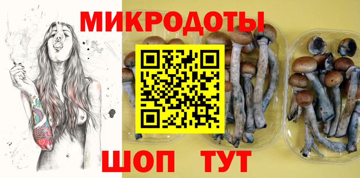 Галлюциногенные грибы GOLDEN TEACHER Кириши