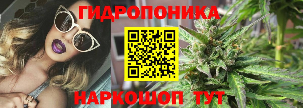 Конопля семена Кириши